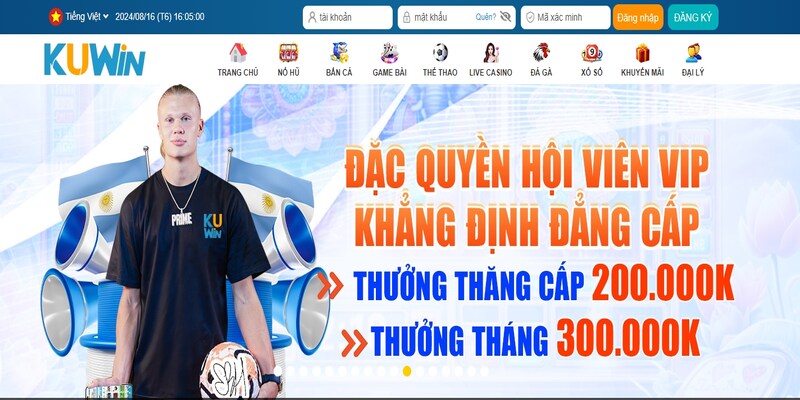 Những thông tin giới thiệu Kuwin được cung cấp